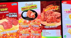 menu hisana fried chicken terbaru