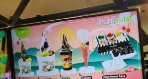 menu sour sally