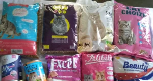merk makanan kucing